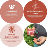 4 Mushroom Gummies 60pcs - Berry Flavour - Lion's Mane, Chaga, Reishi, Shiitake