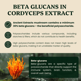 Cordyceps Mushroom Extract Powder