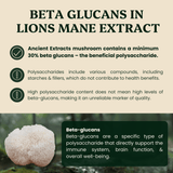 Lion's Mane Mushroom Extract Powder