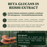 Reishi Mushroom Extract Powder