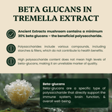 Beauty Pair Tremella & Chaga Mushroom Extracts