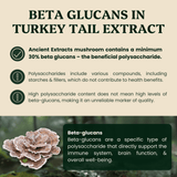 Turkey Tail Mushroom Extract - For Pets