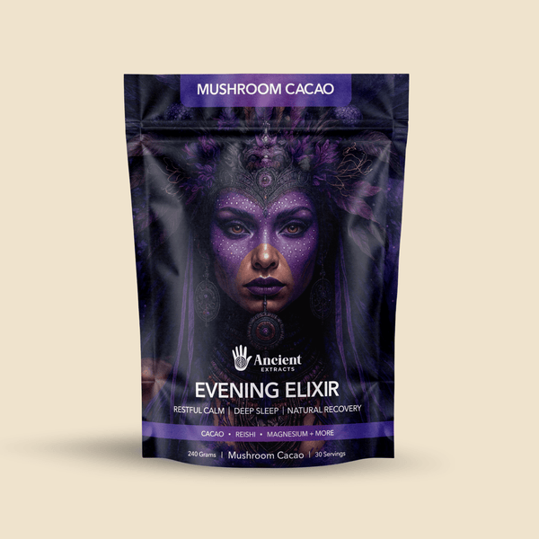 Evening Elixir Mushroom Cacao