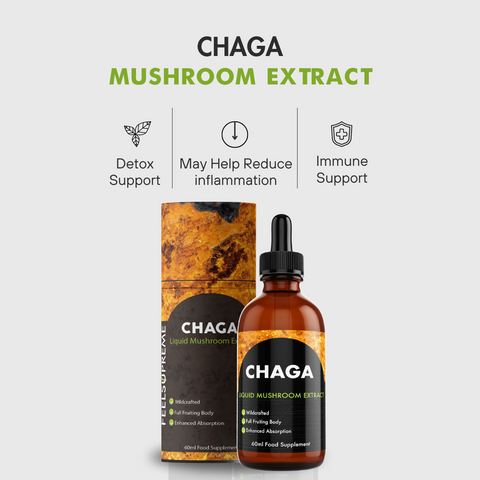 Chaga Mushroom Liquid Extract