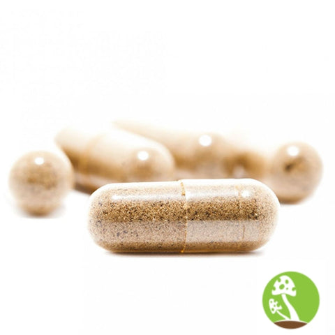 Turkey Tail Mushroom Capsule