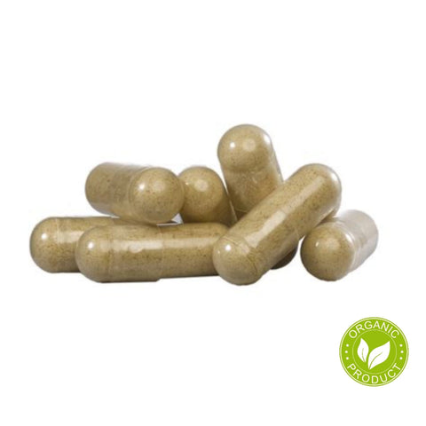 Tongkat Ali Capsules – Natural Testosterone & Muscle Support | 500mg