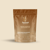 Lion's Mane Mushroom Extract Powder