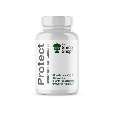Protect: Turkey Tail+ Capsules