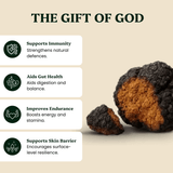 Energy Pair Cordyceps & Chaga Extracts