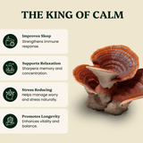 Mindful Pair Lion's Mane & Reishi Extracts