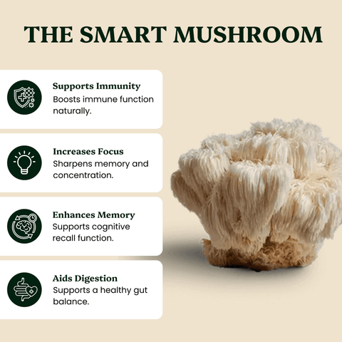 Lion's Mane Mushroom Extract Powder