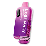 Lost Mary BM6000 Prefilled Vape Kit